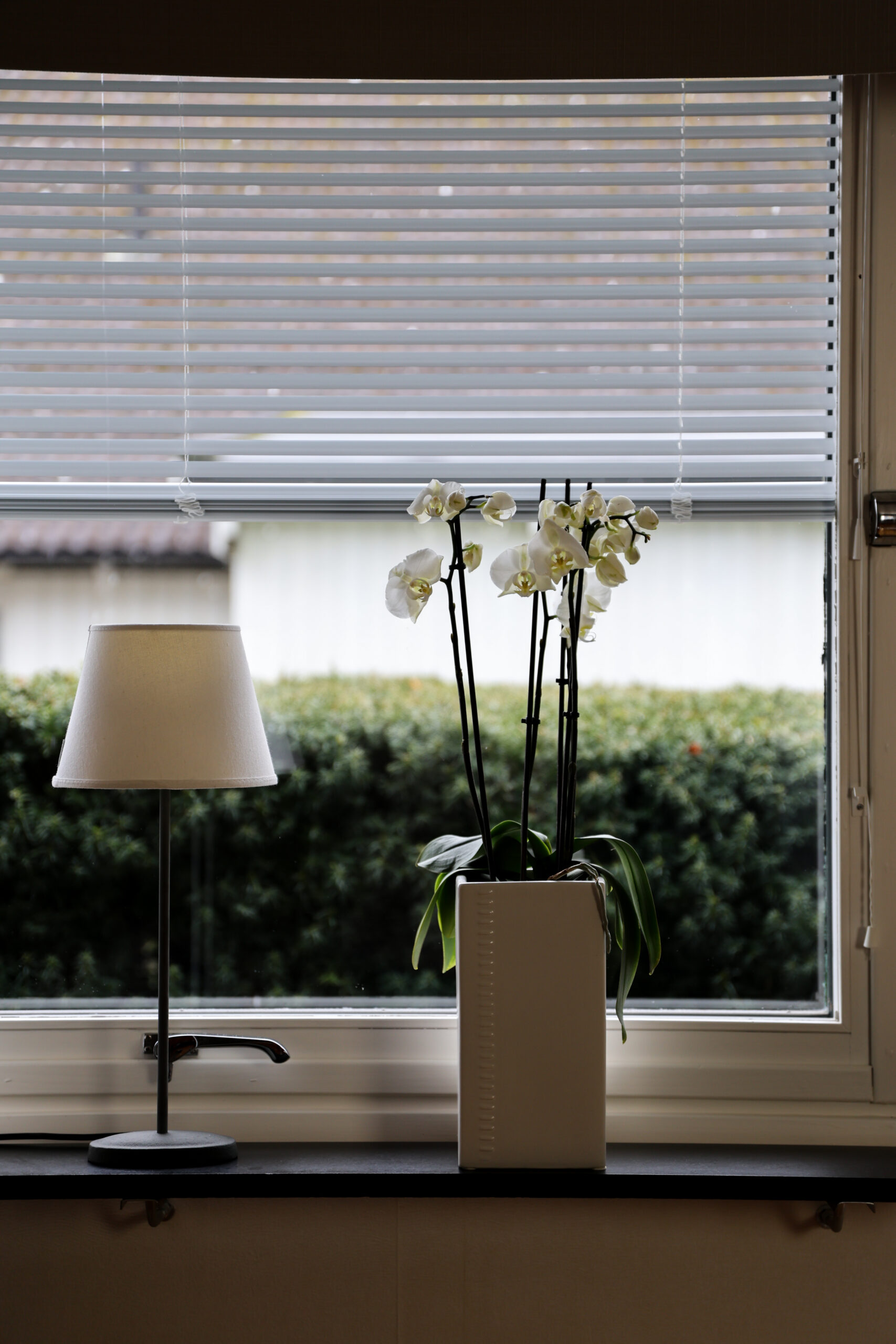 Mellanglaspersienn i fönster.